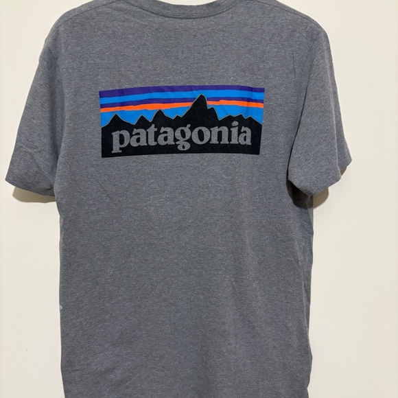 Patagonia Regular Fit T-Shirt (3 for $75) - Picture 3 of 4